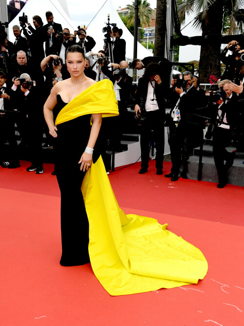 Adriana-Lima-Cannes-Film-Festival---May-18-2023-28b5ab8f2f8e9a5871.jpeg