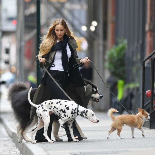 Jennifer-Lawrence-filming-a-Dior-commercial-New-York-June-28-2023-45047e1b35519a2fcd.jpeg