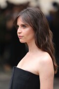 Felicity-Jones-Giorgio-Armani-Paris-France---04.07-11364cfdc38e8a8eb4