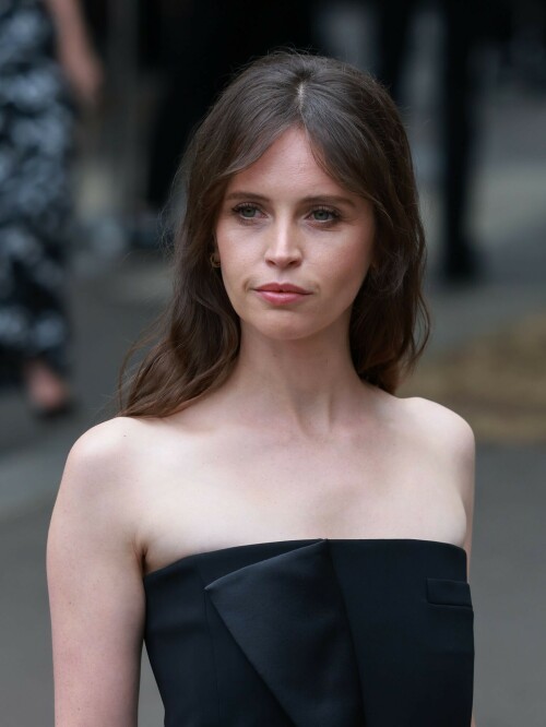 Felicity-Jones-Giorgio-Armani-Paris-France---04.07-1226a619a49f8da9d8.jpeg