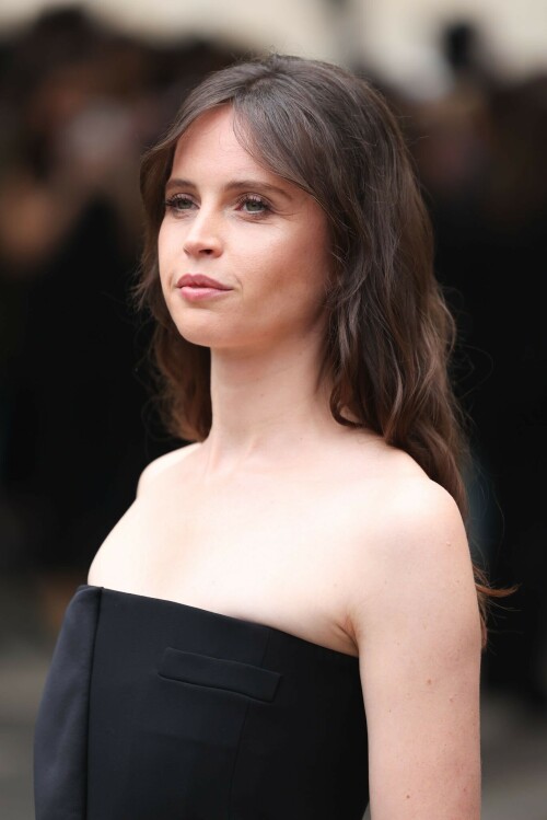 Felicity-Jones-Giorgio-Armani-Paris-France---04.07-19f1cdd08b1bf4f3bc.jpeg