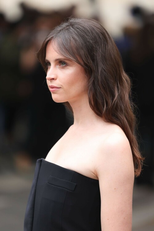 Felicity-Jones-Giorgio-Armani-Paris-France---04.07-2049a30bb31f9bff72.jpeg