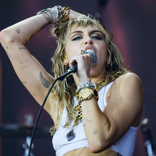 333-134a03009e743f9d67d