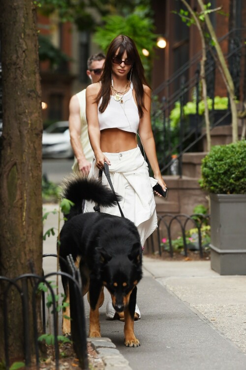 Emily Ratajkowski | NYC - August 29, 2023

Emily Ratajkowski goes braless in a tiny white top with matching baggy trousers while walking her dog Colombo in NYC

Emily Ratajkowski once again made the streets of New York City her runway as she walked her adorable dog Colombo this morning.

The Victoria's Secret Icons model, 32, looked gorgeous in a white crop top with no bra and white baggy trousers.

She had a white shirt tied around her waist and wore light brown boots and tiny black sunglasses.

The mom of Sylvester, two, wore her auburn hair parted in the middle with long, curtain bangs framing her beautiful face.

The Gone Girl actress' sculpted shoulders and abs were perfectly highlighted by her outfit.

In the evening, Emily stepped out in the same all white ensemble but added the jacket as she headed out in the city with a pal.

Emily shares son Sly with her ex-husband, movie producer Sebastian Bear-McClard.

She filed for divorce in September 2022 after four years of marriage.

There were multiple reports that McClard had cheated on the supermodel but the rumors were never verified.

Since her split, EmRata has been spotted kissing DJ Orazio Rispo, hanging out with Brad Pitt, 59, and had a brief romance with comedian Eric André, 40.

The My Body author has also been linked to Pete Davidson, 29, and Harry Styles, 29.

The morning dog walk comes about a week after Emily posed with Hailey Bieber, 26, and Gisele Bundchen, 43, to model The Icons bra for Victoria's Secret.

A black-and-white video released by the revived lingerie brand also revealed that former Victoria's Secret Angels Naomi Campbell, Adriana Lima, and Candice Swanepoel were part of the campaign.

Emily modeled the Push-Up Demi Bra which she paired with strappy panties and a short, open black robe.

The 5'7" beauty began modeling as a teenager growing up near San Diego in Encinitas, California.

She rose to fame after she appeared in Robin Thicke's Blurred Lines music video ten years ago.

Ratajkowski's book of essays, My Body, made her a New York Times bestselling author in 2021.

In one of the essays, she alleged that Thicke groped her while they were filming his video and also wrote essays about being exploited in the modeling world.

DailyMail

#EmilyRatajkowski