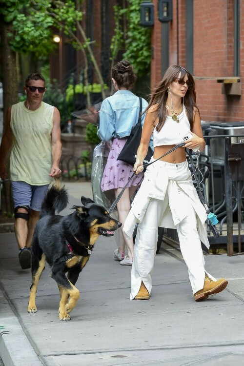 Emily Ratajkowski | NYC - August 29, 2023

Emily Ratajkowski goes braless in a tiny white top with matching baggy trousers while walking her dog Colombo in NYC

Emily Ratajkowski once again made the streets of New York City her runway as she walked her adorable dog Colombo this morning.

The Victoria's Secret Icons model, 32, looked gorgeous in a white crop top with no bra and white baggy trousers.

She had a white shirt tied around her waist and wore light brown boots and tiny black sunglasses.

The mom of Sylvester, two, wore her auburn hair parted in the middle with long, curtain bangs framing her beautiful face.

The Gone Girl actress' sculpted shoulders and abs were perfectly highlighted by her outfit.

In the evening, Emily stepped out in the same all white ensemble but added the jacket as she headed out in the city with a pal.

Emily shares son Sly with her ex-husband, movie producer Sebastian Bear-McClard.

She filed for divorce in September 2022 after four years of marriage.

There were multiple reports that McClard had cheated on the supermodel but the rumors were never verified.

Since her split, EmRata has been spotted kissing DJ Orazio Rispo, hanging out with Brad Pitt, 59, and had a brief romance with comedian Eric André, 40.

The My Body author has also been linked to Pete Davidson, 29, and Harry Styles, 29.

The morning dog walk comes about a week after Emily posed with Hailey Bieber, 26, and Gisele Bundchen, 43, to model The Icons bra for Victoria's Secret.

A black-and-white video released by the revived lingerie brand also revealed that former Victoria's Secret Angels Naomi Campbell, Adriana Lima, and Candice Swanepoel were part of the campaign.

Emily modeled the Push-Up Demi Bra which she paired with strappy panties and a short, open black robe.

The 5'7" beauty began modeling as a teenager growing up near San Diego in Encinitas, California.

She rose to fame after she appeared in Robin Thicke's Blurred Lines music video ten years ago.

Ratajkowski's book of essays, My Body, made her a New York Times bestselling author in 2021.

In one of the essays, she alleged that Thicke groped her while they were filming his video and also wrote essays about being exploited in the modeling world.

DailyMail

#EmilyRatajkowski