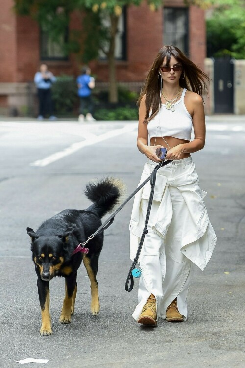 Emily Ratajkowski | NYC - August 29, 2023

Emily Ratajkowski goes braless in a tiny white top with matching baggy trousers while walking her dog Colombo in NYC

Emily Ratajkowski once again made the streets of New York City her runway as she walked her adorable dog Colombo this morning.

The Victoria's Secret Icons model, 32, looked gorgeous in a white crop top with no bra and white baggy trousers.

She had a white shirt tied around her waist and wore light brown boots and tiny black sunglasses.

The mom of Sylvester, two, wore her auburn hair parted in the middle with long, curtain bangs framing her beautiful face. 

The Gone Girl actress' sculpted shoulders and abs were perfectly highlighted by her outfit.

In the evening, Emily stepped out in the same all white ensemble but added the jacket as she headed out in the city with a pal.  

Emily shares son Sly with her ex-husband, movie producer Sebastian Bear-McClard.

She filed for divorce in September 2022 after four years of marriage. 

There were multiple reports that McClard had cheated on the supermodel but the rumors were never verified. 

Since her split, EmRata has been spotted kissing DJ Orazio Rispo, hanging out with Brad Pitt, 59, and had a brief romance with comedian Eric André, 40.

The My Body author has also been linked to Pete Davidson, 29, and Harry Styles, 29. 

The morning dog walk comes about a week after Emily posed with Hailey Bieber, 26, and Gisele Bundchen, 43, to model The Icons bra for Victoria's Secret. 

A black-and-white video released by the revived lingerie brand also revealed that former Victoria's Secret Angels Naomi Campbell, Adriana Lima, and Candice Swanepoel were part of the campaign.

Emily modeled the Push-Up Demi Bra which she paired with strappy panties and a short, open black robe.

The 5'7" beauty began modeling as a teenager growing up near San Diego in Encinitas, California.

She rose to fame after she appeared in Robin Thicke's Blurred Lines music video ten years ago. 

Ratajkowski's book of essays, My Body, made her a New York Times bestselling author in 2021.

In one of the essays, she alleged that Thicke groped her while they were filming his video and also wrote essays about being exploited in the modeling world.

DailyMail

#EmilyRatajkowski