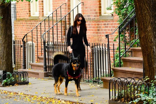 Outfit: Diane von Furstenberg Sheksa Dress, Piferi Nadja Boots, Vertigo Obsidian Medallion, Vogue Vo5513S Sunglasses, Miu Miu Wander Matelasse Nappa Leather Mini Hobo Bag

EMILY RATAJKOWSKI Out with Her Dog in New York - 17.10.2023

#EmilyRatajkowski