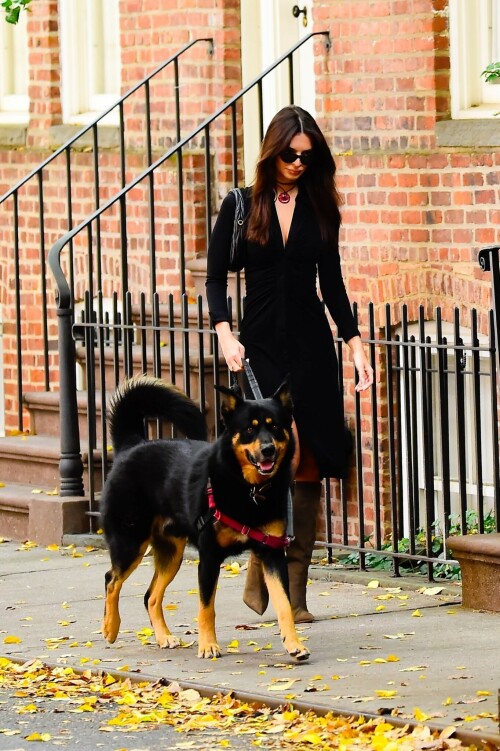 Outfit: Diane von Furstenberg Sheksa Dress, Piferi Nadja Boots, Vertigo Obsidian Medallion, Vogue Vo5513S Sunglasses, Miu Miu Wander Matelasse Nappa Leather Mini Hobo Bag

EMILY RATAJKOWSKI Out with Her Dog in New York - 17.10.2023

#EmilyRatajkowski