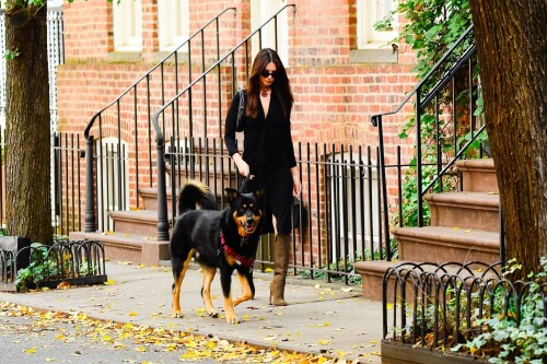 Outfit: Diane von Furstenberg Sheksa Dress, Piferi Nadja Boots, Vertigo Obsidian Medallion, Vogue Vo5513S Sunglasses, Miu Miu Wander Matelasse Nappa Leather Mini Hobo Bag

EMILY RATAJKOWSKI Out with Her Dog in New York - 17.10.2023

#EmilyRatajkowski