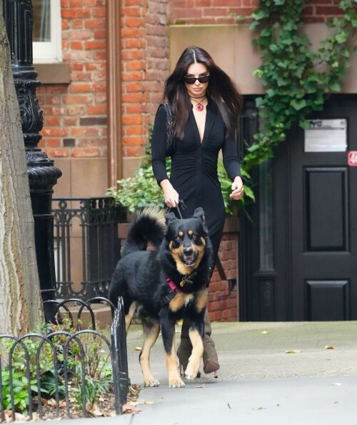 Outfit: Diane von Furstenberg Sheksa Dress, Piferi Nadja Boots, Vertigo Obsidian Medallion, Vogue Vo5513S Sunglasses, Miu Miu Wander Matelasse Nappa Leather Mini Hobo Bag

EMILY RATAJKOWSKI Out with Her Dog in New York - 17.10.2023

#EmilyRatajkowski