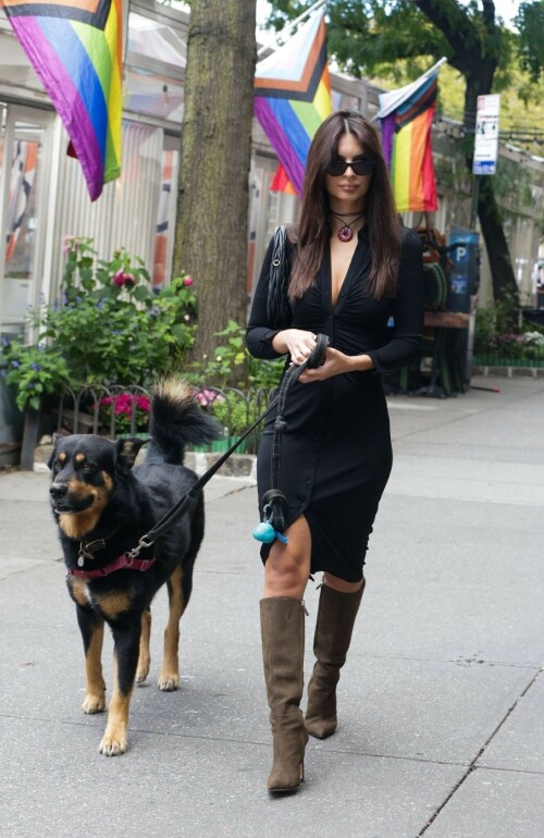 Outfit: Diane von Furstenberg Sheksa Dress, Piferi Nadja Boots, Vertigo Obsidian Medallion, Vogue Vo5513S Sunglasses, Miu Miu Wander Matelasse Nappa Leather Mini Hobo Bag

EMILY RATAJKOWSKI Out with Her Dog in New York - 17.10.2023

#EmilyRatajkowski