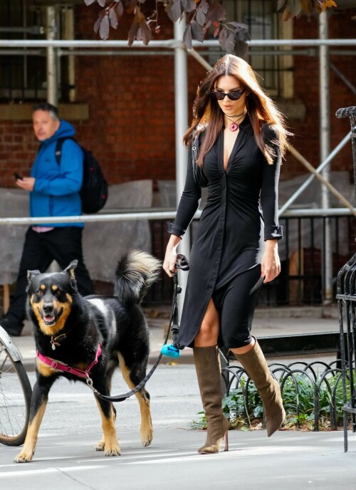 Outfit: Diane von Furstenberg Sheksa Dress, Piferi Nadja Boots, Vertigo Obsidian Medallion, Vogue Vo5513S Sunglasses, Miu Miu Wander Matelasse Nappa Leather Mini Hobo Bag

EMILY RATAJKOWSKI Out with Her Dog in New York - 17.10.2023

#EmilyRatajkowski