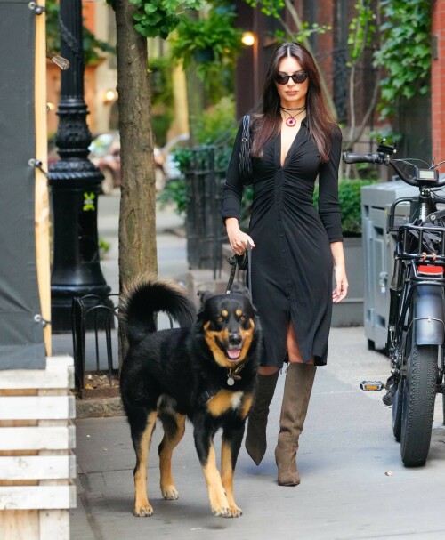 Outfit: Diane von Furstenberg Sheksa Dress, Piferi Nadja Boots, Vertigo Obsidian Medallion, Vogue Vo5513S Sunglasses, Miu Miu Wander Matelasse Nappa Leather Mini Hobo Bag

EMILY RATAJKOWSKI Out with Her Dog in New York - 17.10.2023

#EmilyRatajkowski