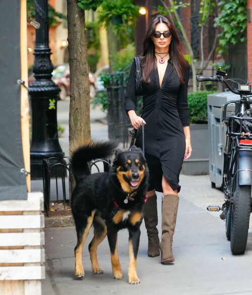 Outfit: Diane von Furstenberg Sheksa Dress, Piferi Nadja Boots, Vertigo Obsidian Medallion, Vogue Vo5513S Sunglasses, Miu Miu Wander Matelasse Nappa Leather Mini Hobo Bag

EMILY RATAJKOWSKI Out with Her Dog in New York - 17.10.2023

#EmilyRatajkowski