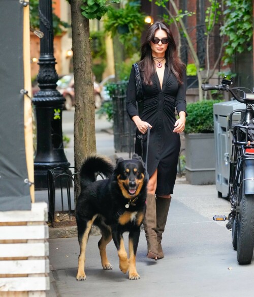 Outfit: Diane von Furstenberg Sheksa Dress, Piferi Nadja Boots, Vertigo Obsidian Medallion, Vogue Vo5513S Sunglasses, Miu Miu Wander Matelasse Nappa Leather Mini Hobo Bag

EMILY RATAJKOWSKI Out with Her Dog in New York - 17.10.2023

#EmilyRatajkowski