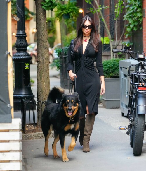 Outfit: Diane von Furstenberg Sheksa Dress, Piferi Nadja Boots, Vertigo Obsidian Medallion, Vogue Vo5513S Sunglasses, Miu Miu Wander Matelasse Nappa Leather Mini Hobo Bag

EMILY RATAJKOWSKI Out with Her Dog in New York - 17.10.2023

#EmilyRatajkowski