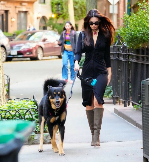 Outfit: Diane von Furstenberg Sheksa Dress, Piferi Nadja Boots, Vertigo Obsidian Medallion, Vogue Vo5513S Sunglasses, Miu Miu Wander Matelasse Nappa Leather Mini Hobo Bag

EMILY RATAJKOWSKI Out with Her Dog in New York - 17.10.2023

#EmilyRatajkowski