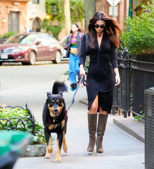 Outfit: Diane von Furstenberg Sheksa Dress, Piferi Nadja Boots, Vertigo Obsidian Medallion, Vogue Vo5513S Sunglasses, Miu Miu Wander Matelasse Nappa Leather Mini Hobo Bag

EMILY RATAJKOWSKI Out with Her Dog in New York - 17.10.2023

#EmilyRatajkowski