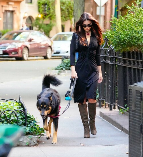 Outfit: Diane von Furstenberg Sheksa Dress, Piferi Nadja Boots, Vertigo Obsidian Medallion, Vogue Vo5513S Sunglasses, Miu Miu Wander Matelasse Nappa Leather Mini Hobo Bag

EMILY RATAJKOWSKI Out with Her Dog in New York - 17.10.2023

#EmilyRatajkowski