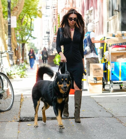 Outfit: Diane von Furstenberg Sheksa Dress, Piferi Nadja Boots, Vertigo Obsidian Medallion, Vogue Vo5513S Sunglasses, Miu Miu Wander Matelasse Nappa Leather Mini Hobo Bag

EMILY RATAJKOWSKI Out with Her Dog in New York - 17.10.2023

#EmilyRatajkowski