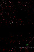 555-0029a1ee048b33d34ed7