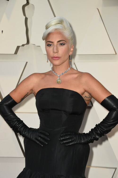 LadyGaga_2019_TheOscars_AcademyAwards_11acfd37741c2781b1.jpeg