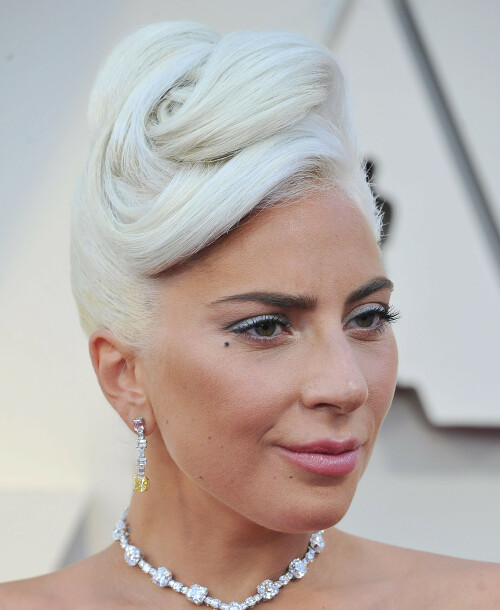 LadyGaga_2019_TheOscars_AcademyAwards_121d983b82b84b48fee.jpeg