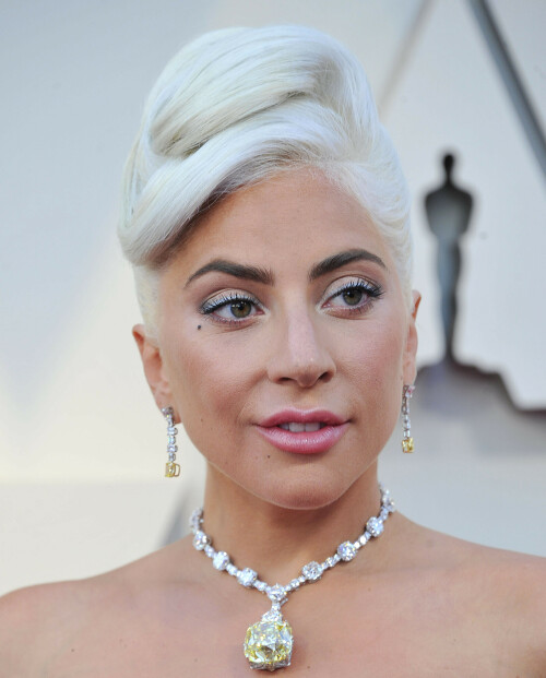 LadyGaga_2019_TheOscars_AcademyAwards_126d6674124a92a42f6