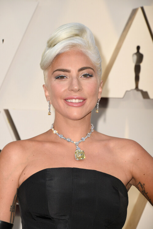 LadyGaga_2019_TheOscars_AcademyAwards_1330a391de83b97a97.jpeg