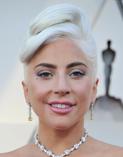 LadyGaga_2019_TheOscars_AcademyAwards_1430889eb8c4646de25.jpeg