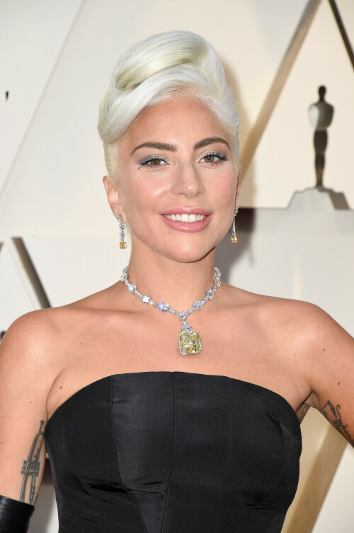 LadyGaga_2019_TheOscars_AcademyAwards_147bb31de2edd38a1a.jpeg