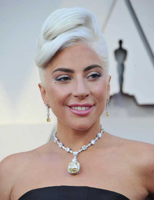 LadyGaga_2019_TheOscars_AcademyAwards_150574dac72177b9284.jpeg