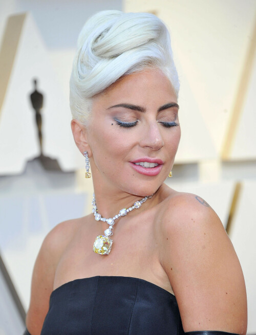 LadyGaga_2019_TheOscars_AcademyAwards_154c33c4e96d643f7f6