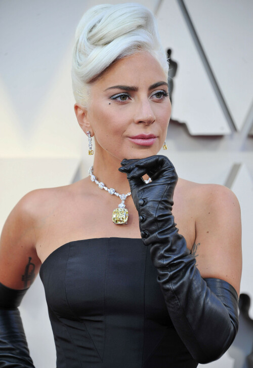 LadyGaga_2019_TheOscars_AcademyAwards_1843c7eb307aba3ed22.jpeg