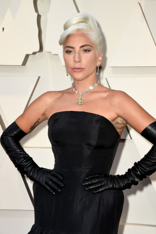 LadyGaga_2019_TheOscars_AcademyAwards_18a452492a8702434b.jpeg