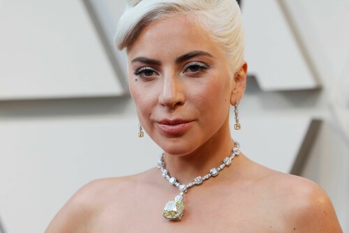 LadyGaga_2019_TheOscars_AcademyAwards_279ea0c970a8a26c691.jpeg