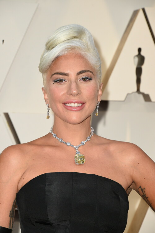 LadyGaga_2019_TheOscars_AcademyAwards_2956a695ab2c0d86b1.jpeg