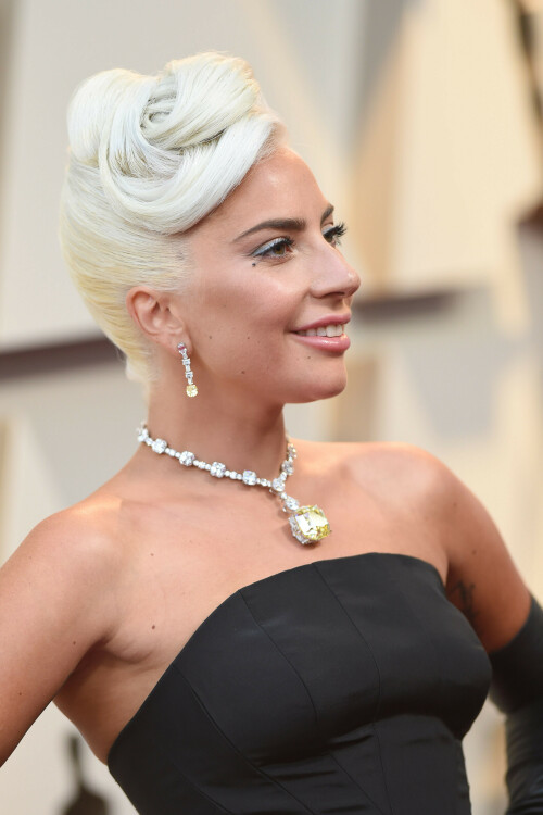 LadyGaga_2019_TheOscars_AcademyAwards_3108653c429b0cf101.jpeg