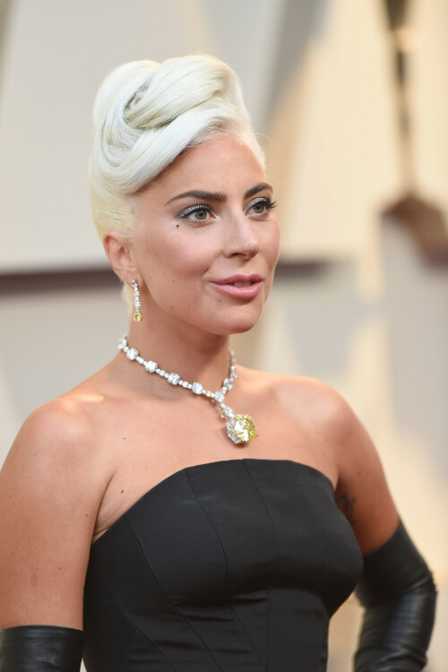 LadyGaga_2019_TheOscars_AcademyAwards_33ecf41f5845e70995.jpeg