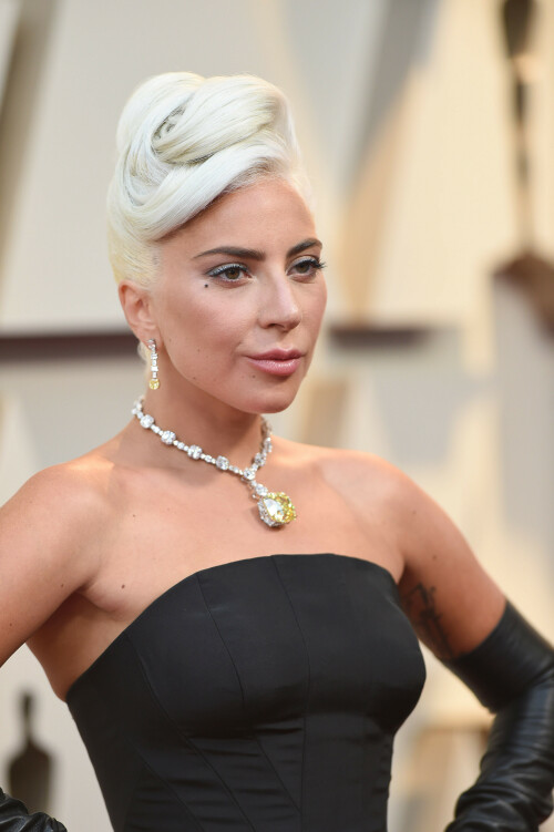 LadyGaga_2019_TheOscars_AcademyAwards_386d1efc09ddd3385f.jpeg