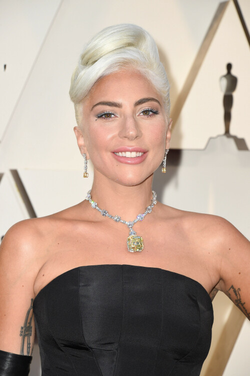 LadyGaga_2019_TheOscars_AcademyAwards_41ea96f50a65f8624b.jpeg