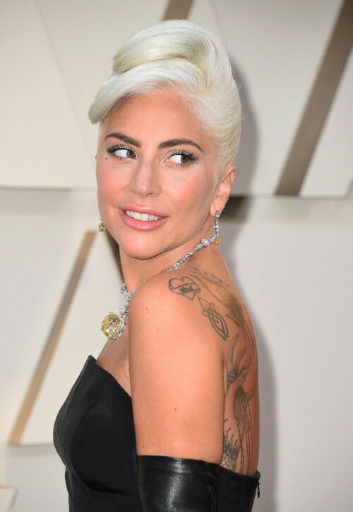 LadyGaga_2019_TheOscars_AcademyAwards_45cfc36f0d0eda233.jpeg