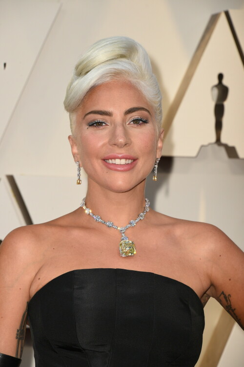 LadyGaga_2019_TheOscars_AcademyAwards_6070bb3b362ac00a1.jpeg