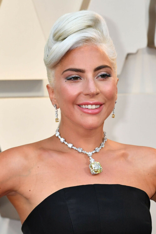 LadyGaga_2019_TheOscars_AcademyAwards_7880cfa2227fe2e862