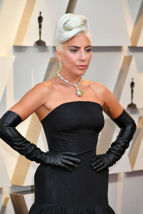 LadyGaga_2019_TheOscars_AcademyAwards_81ee8d75b8e8215cf6.jpeg