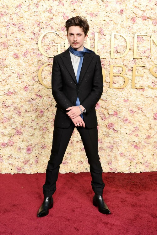 Timothee-Chalamet-82nd-Annual-Golden-Globes---Golden-Globe-Awards---held-at-The-Beverly-Hilton-i--3032ab1a6309a0c1b.jpeg