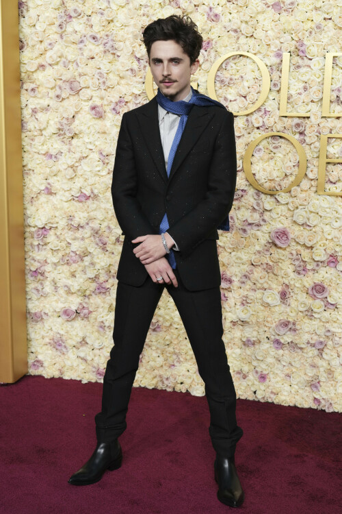 Timothee-Chalamet-82nd-Annual-Golden-Globes---Golden-Globe-Awards---held-at-The-Beverly-Hilton-i--40badc87881379f93.jpeg