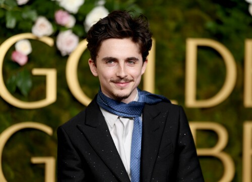 Timothee-Chalamet-82nd-Annual-Golden-Globes---Golden-Globe-Awards---held-at-The-Beverly-Hilton-i--689123432f430ff0a.jpeg