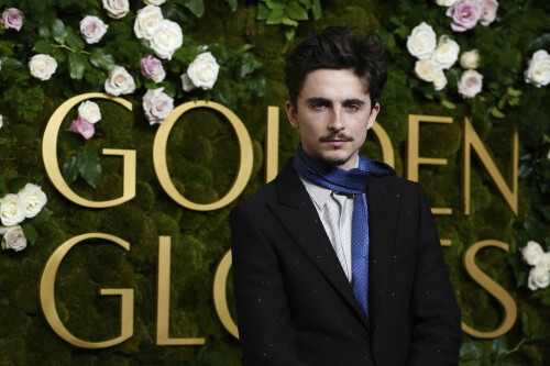 Timothee-Chalamet-82nd-Annual-Golden-Globes---Golden-Globe-Awards---held-at-The-Beverly-Hilton-i--72bbd6133a4a7b1dc.jpeg