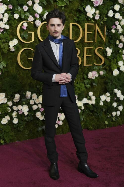 Timothee-Chalamet-82nd-Annual-Golden-Globes---Golden-Globe-Awards---held-at-The-Beverly-Hilton-i--89e3f56e2fa452dae.jpeg